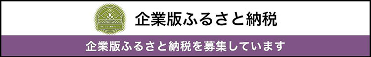 企業版ふるさと納税